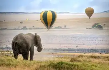 Pacote de viagem Safári e Relax no Quênia e Ilhas Mauricio