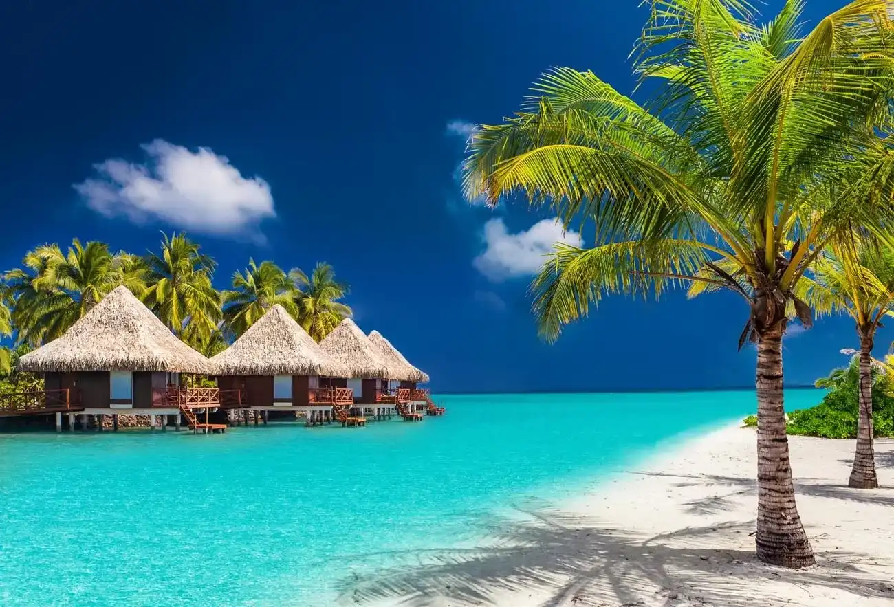 Pacote de viagem Per Aquum Niyama Maldives