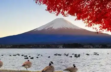 Pacote de viagem As Maravilhas do Japão