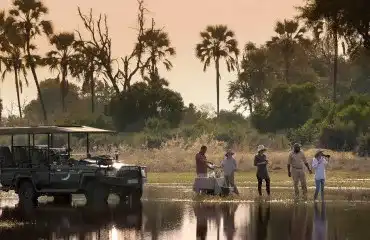 Pacote de viagem Botswana com Delta do Okavango e Reserva Moremi