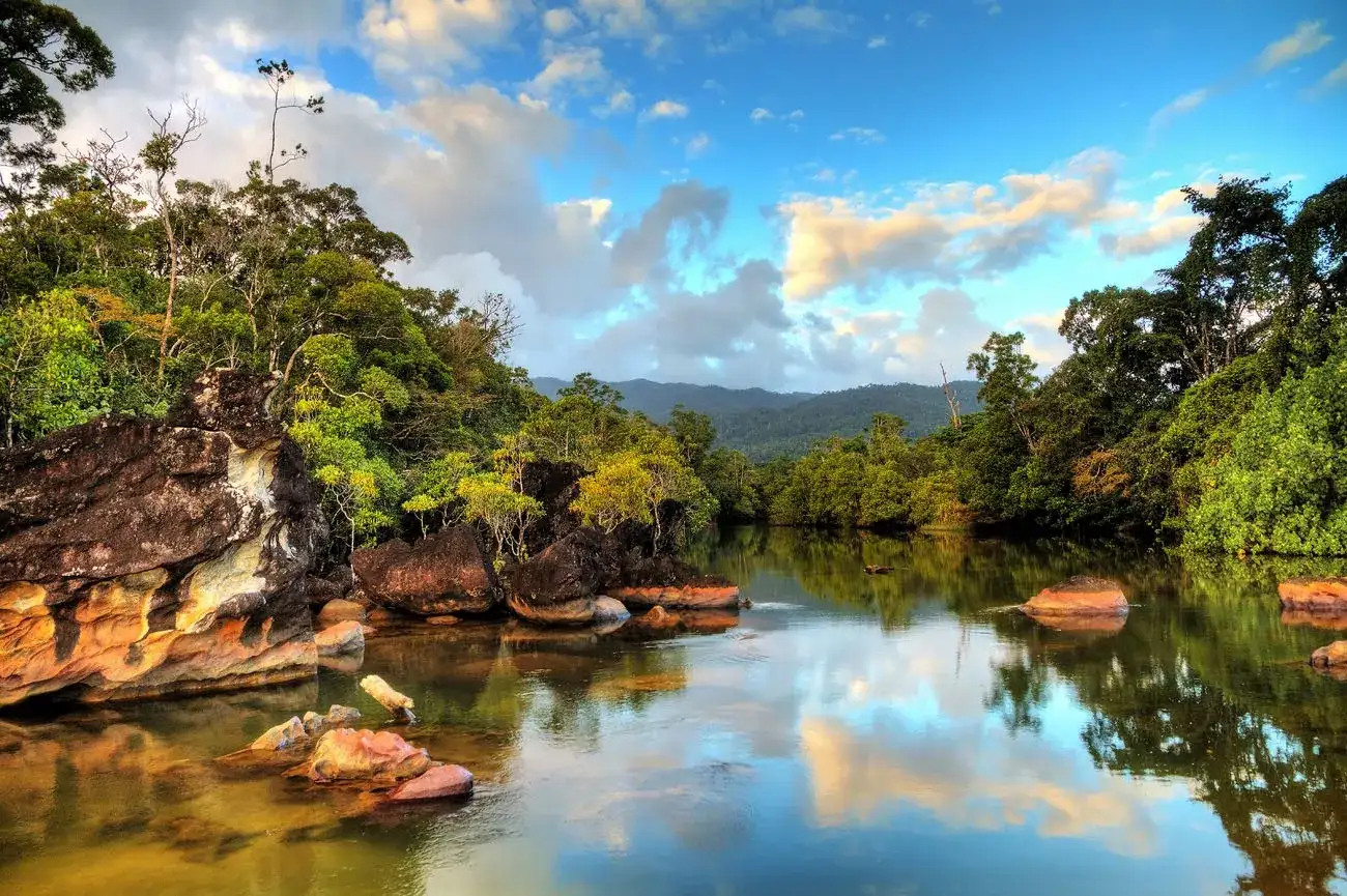 Rio Selva Tropical Parque Nacional de Masoala