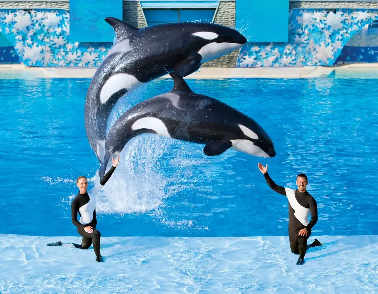 SeaWord