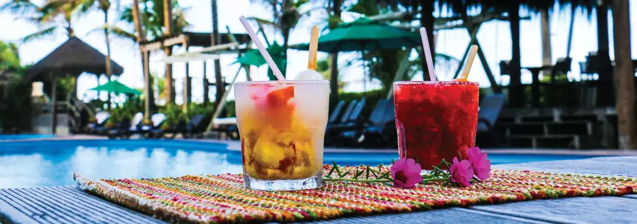 Drinks -  Ritz Lagoa da Anta Hotel