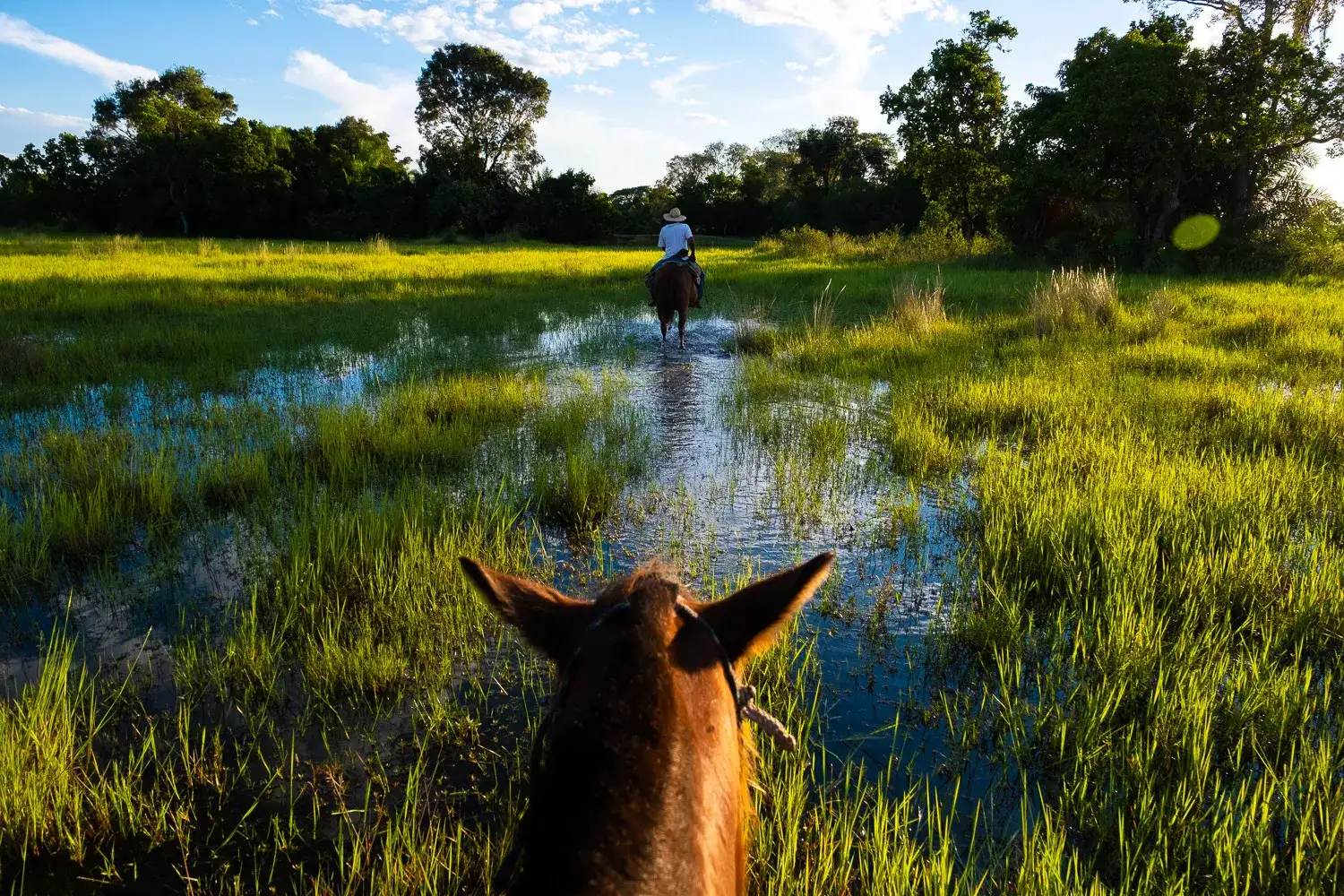 Pacote de viagem Bonito com Pantanal