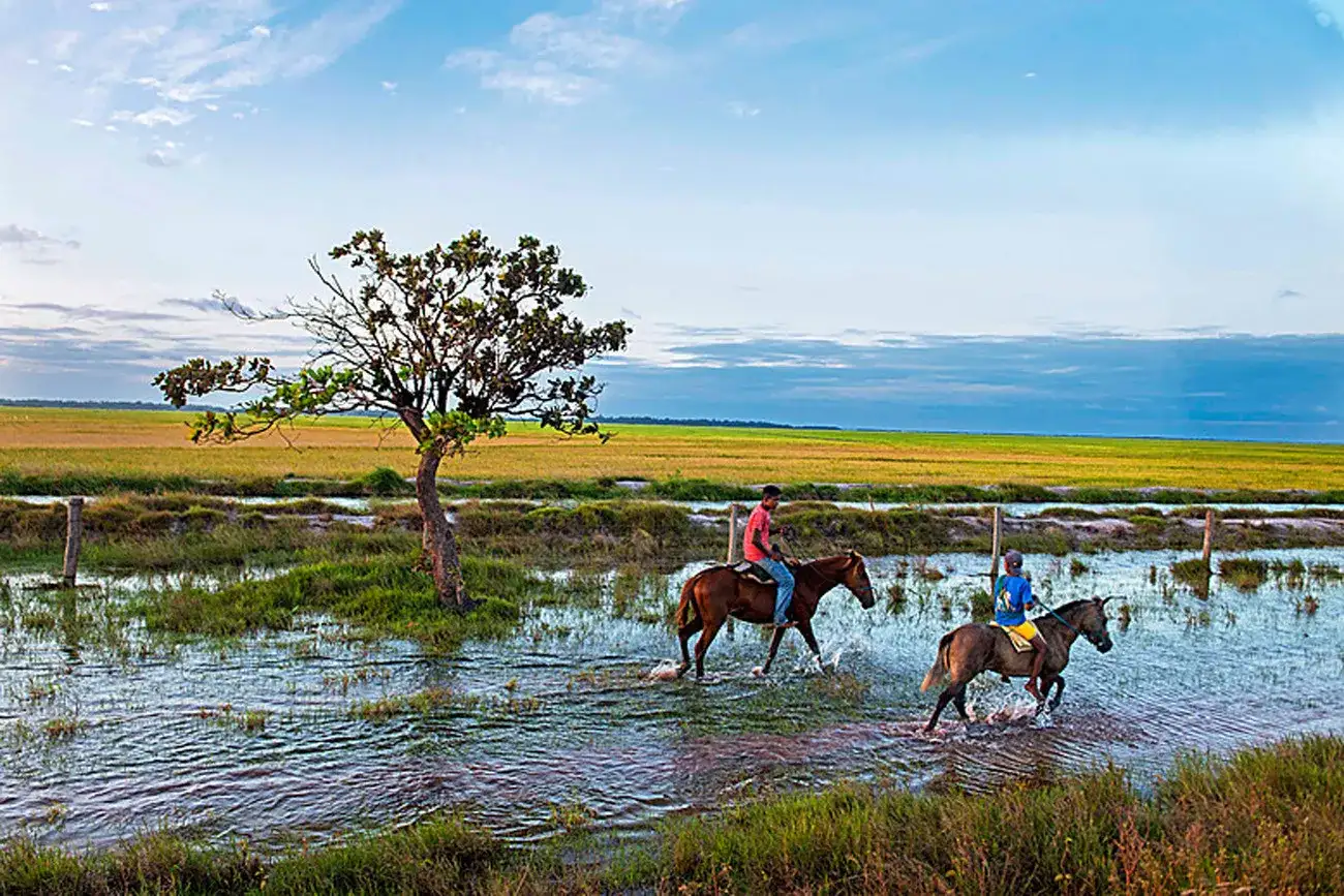 Pacote de viagem Belém, Ilha de Marajó e Alter do Chão