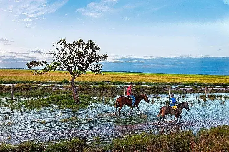 Norte - Brasil