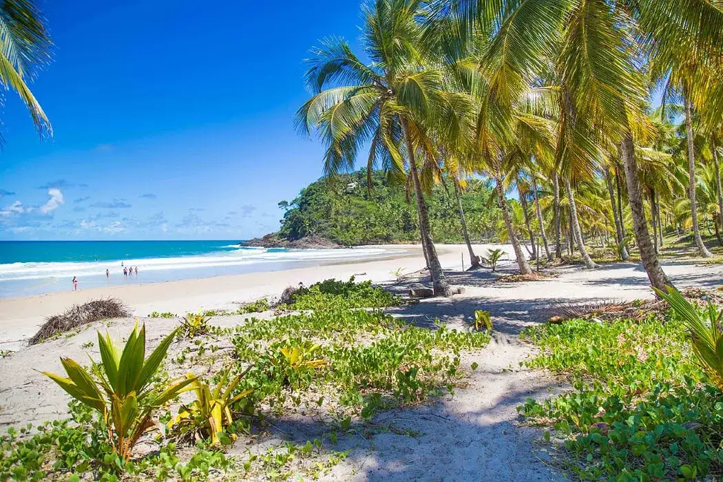 Pacote de viagem Itacaré - completo