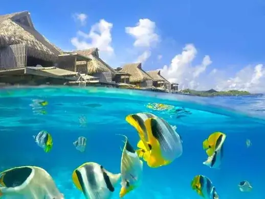 Casamento no Conrad Bora Bora Nui