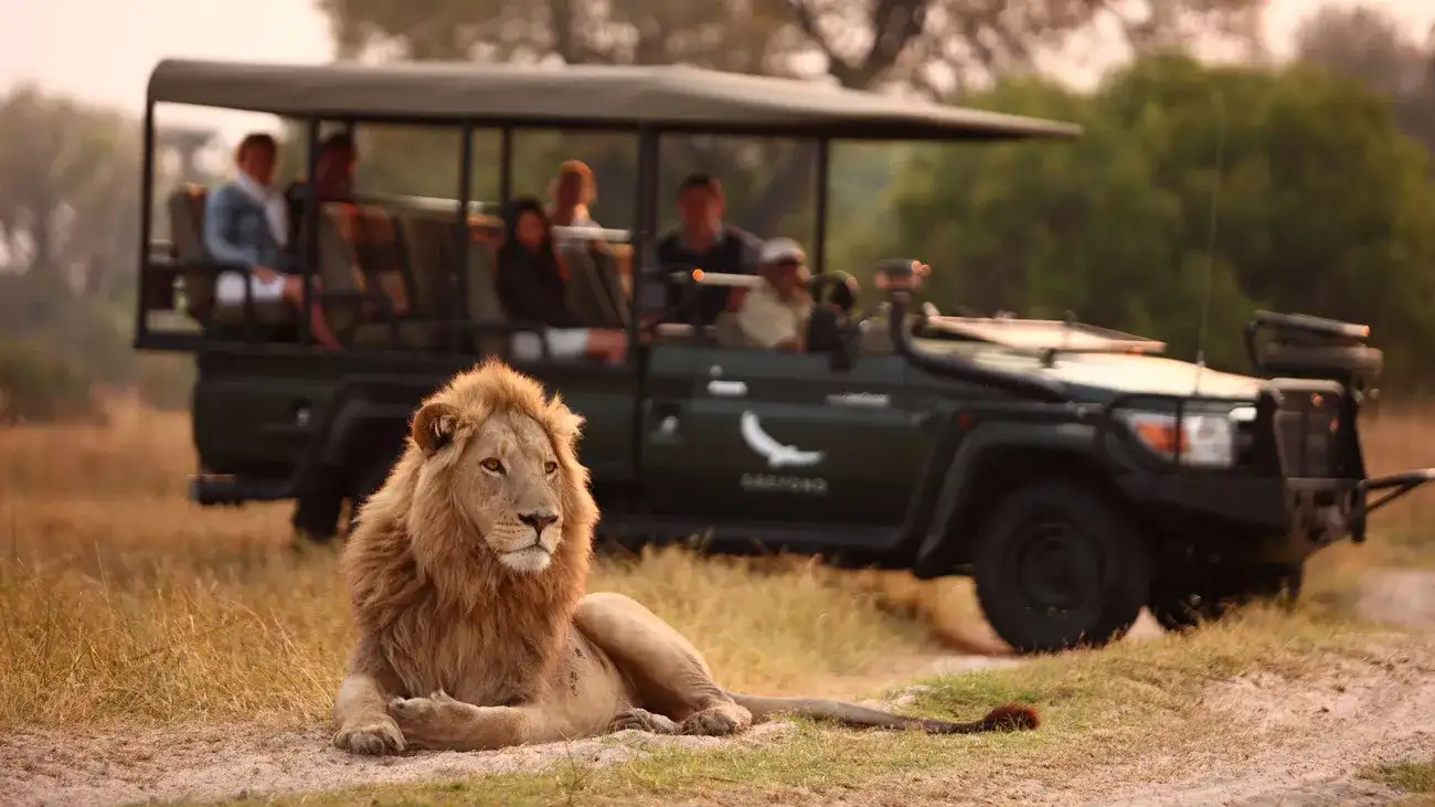 Pacote de viagem Botswana um Safári com Estilo