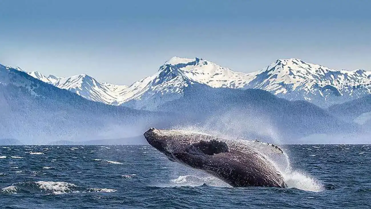 Cruises Costa Oeste Canadense e do Alasca