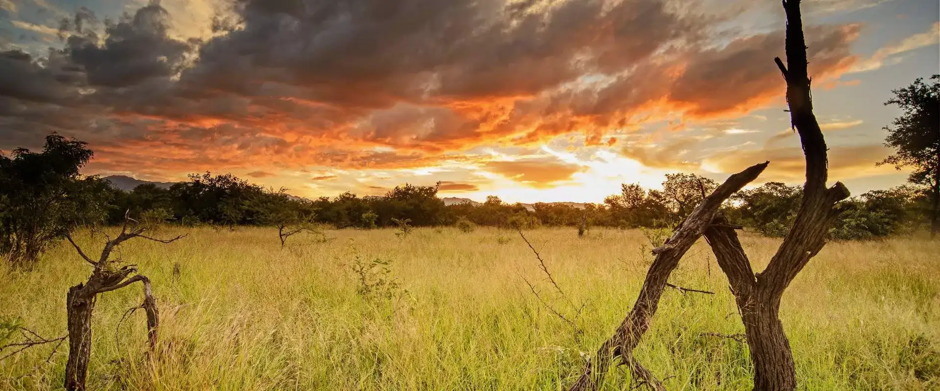 Pacote de viagem Karongwe Portfolio