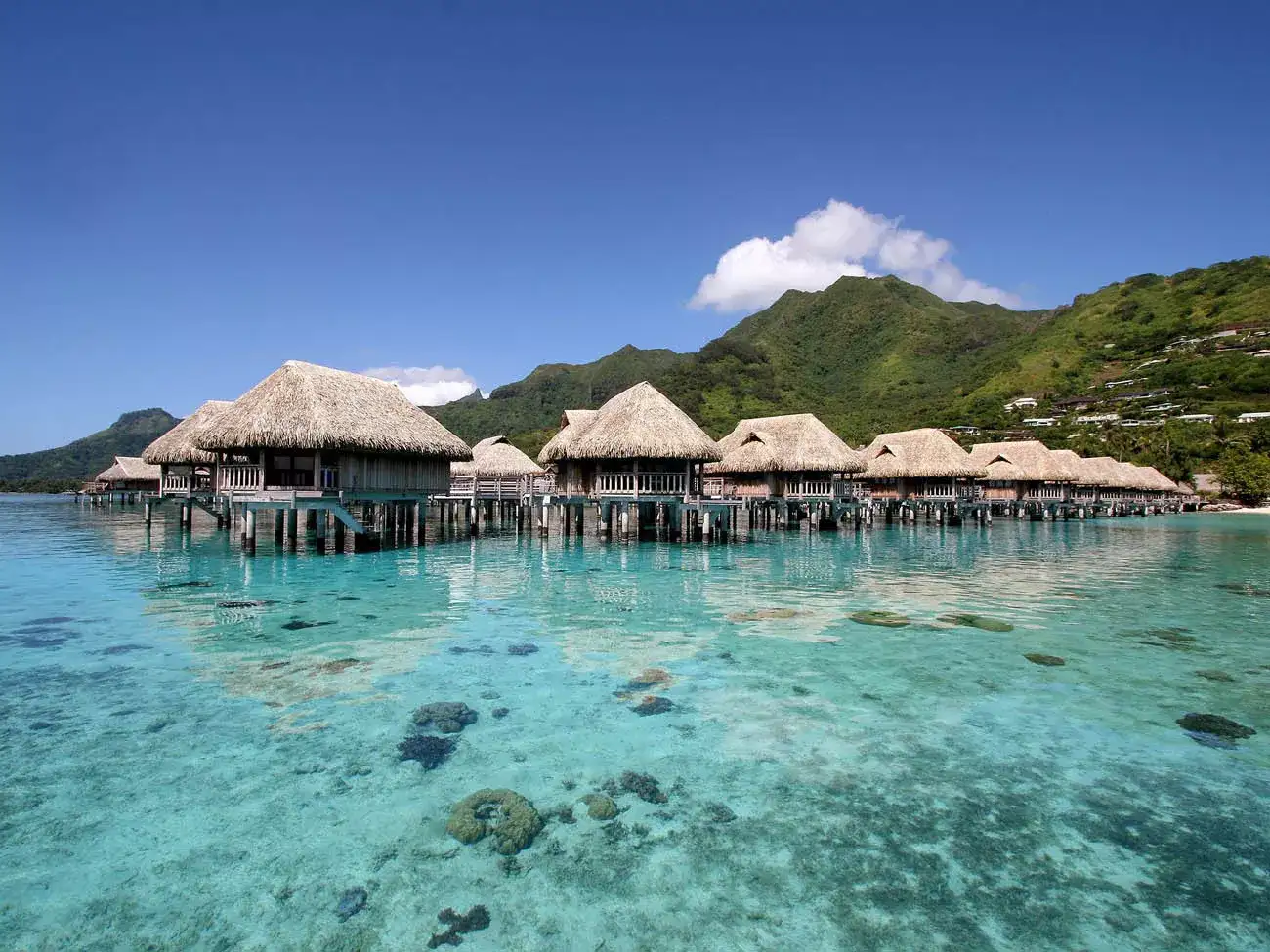 Moorea & Bora Bora