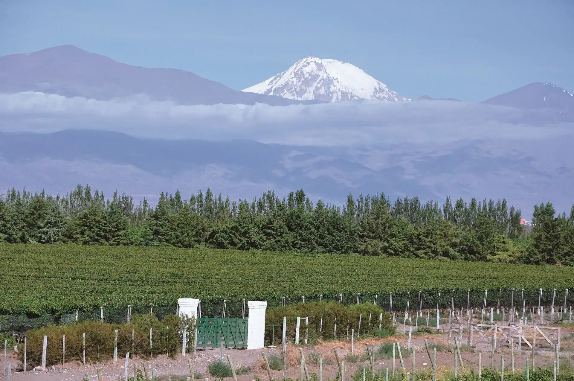 Buenos Aires e Mendoza