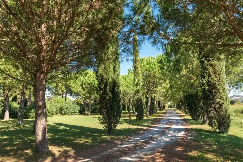 Destination Wedding no Villa Toscana