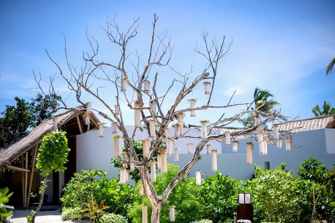 Casamento no Emerald Maldives Resort & Spa