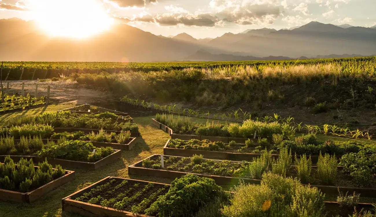 Mendoza Vale de Uco