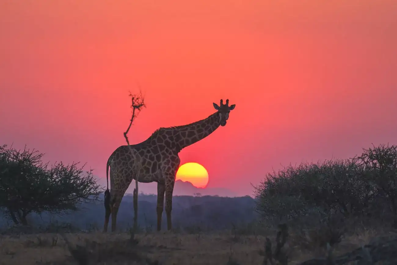 África do Sul Luxury