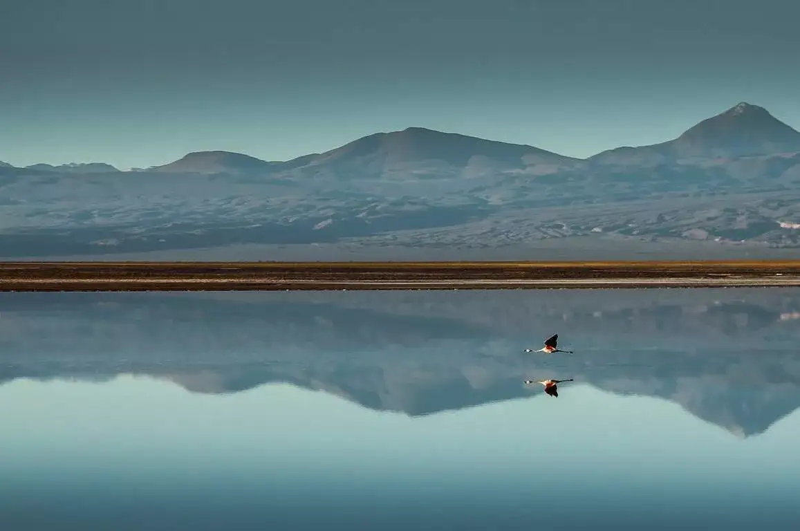 Awasi Atacama Relais & Chateuax