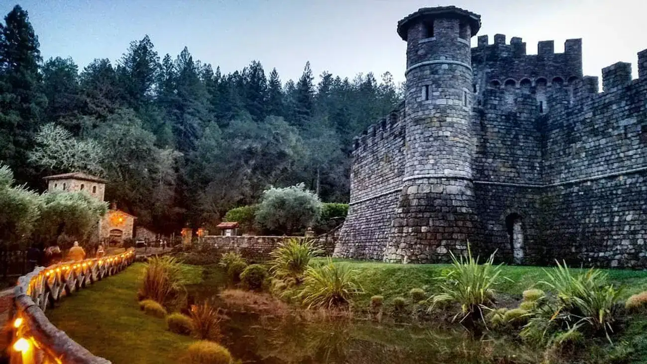 California na Rota dos vinhos