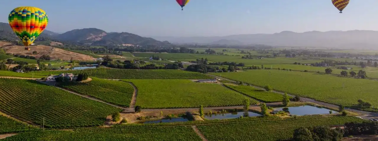 California na Rota dos vinhos
