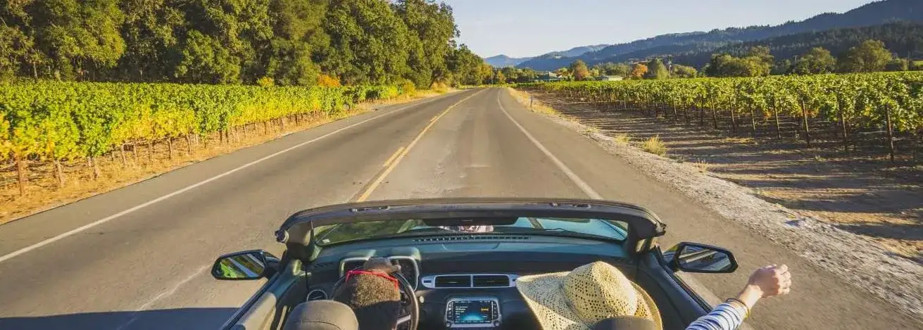 California na Rota dos vinhos