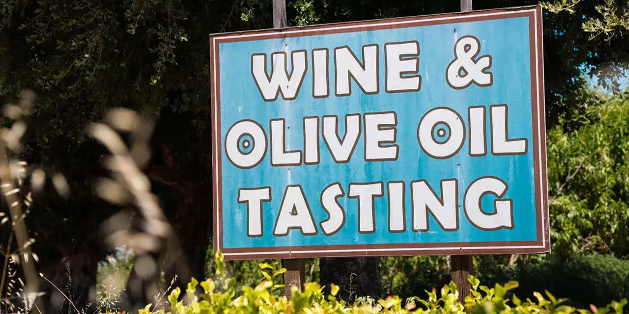 California na Rota dos vinhos