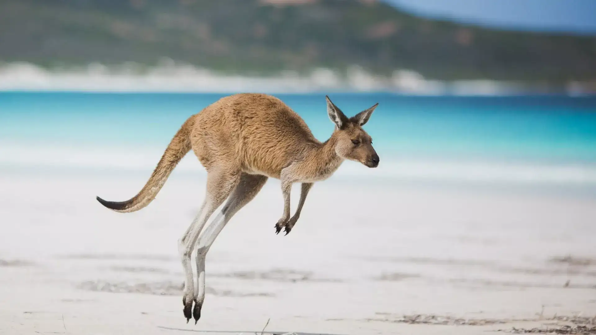 Pacote de viagem Austrália, Fiji e Nova Zelândia