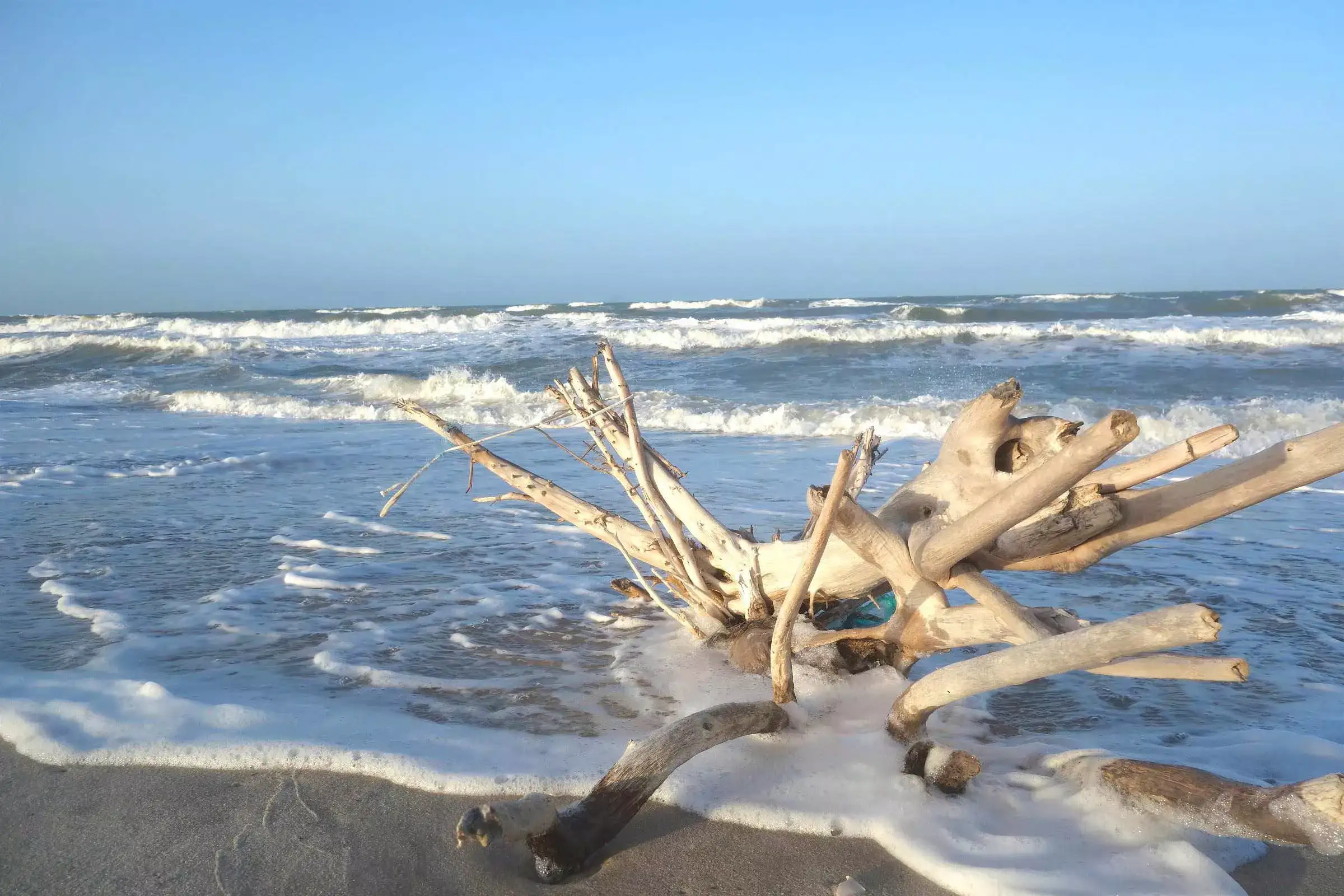 Lençóis Maranhenses em Família