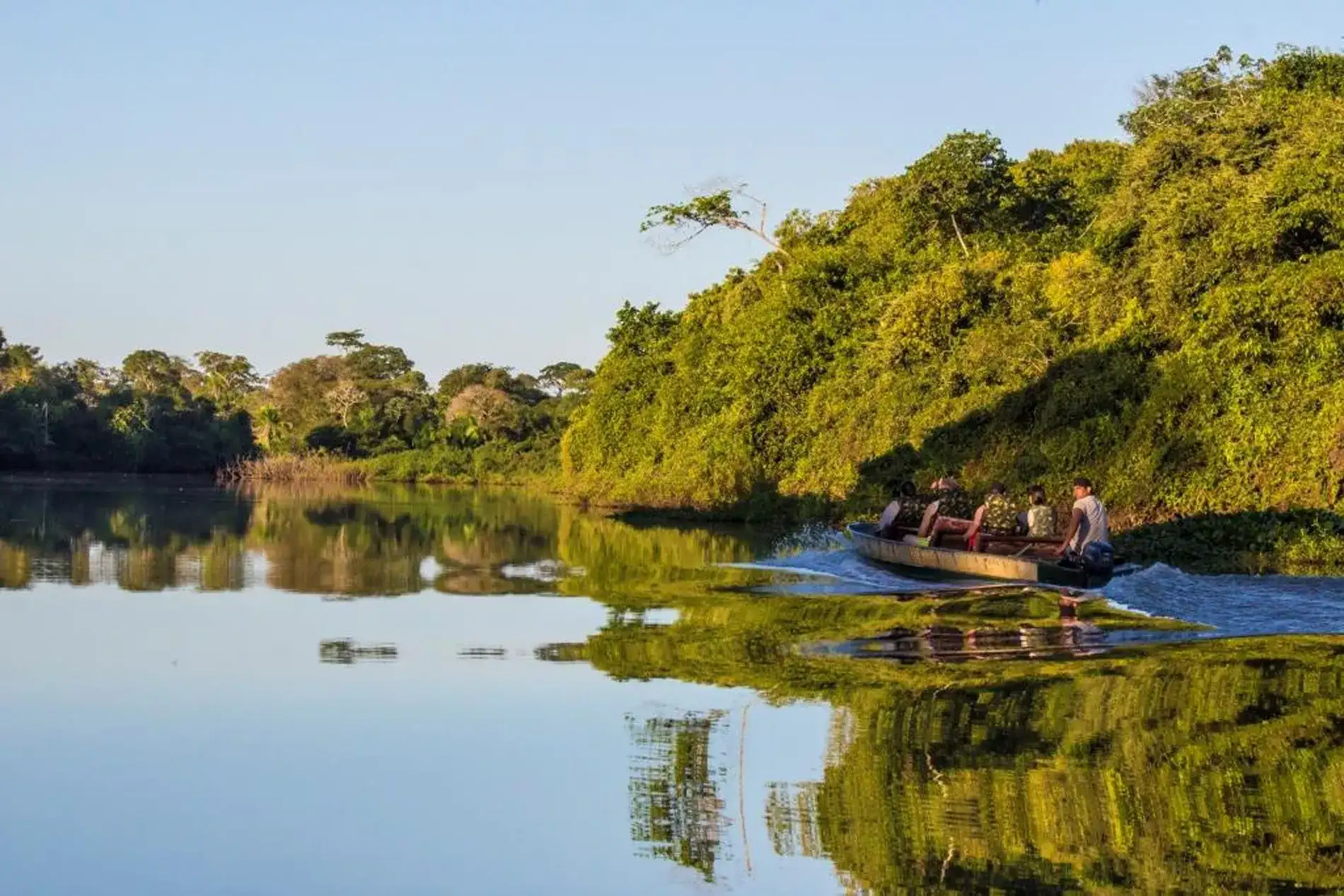Pantanal em Família