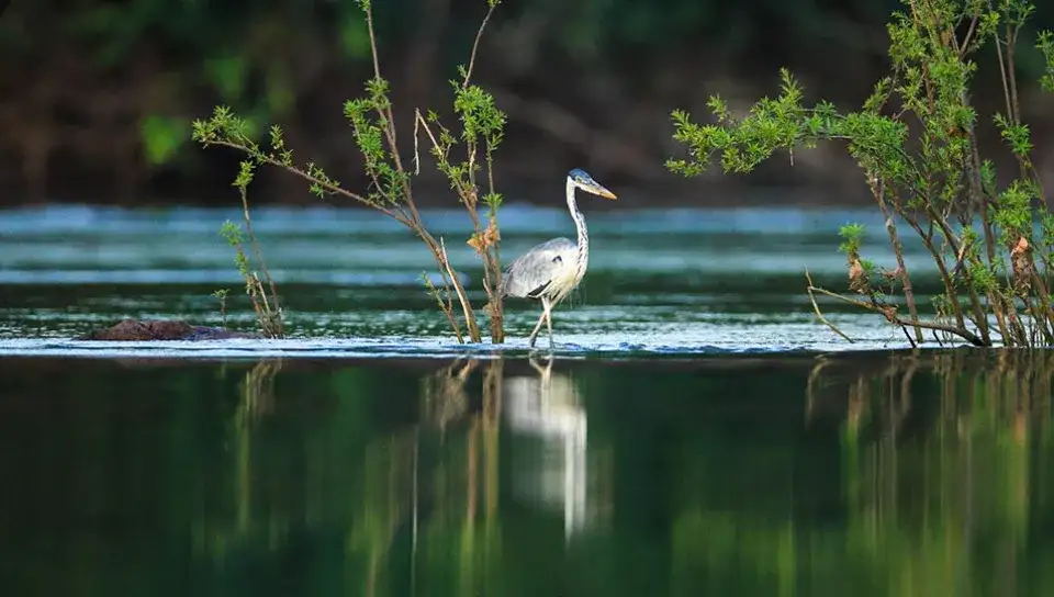 Pacote de viagem Lençóis Maranhenses e Amazônia