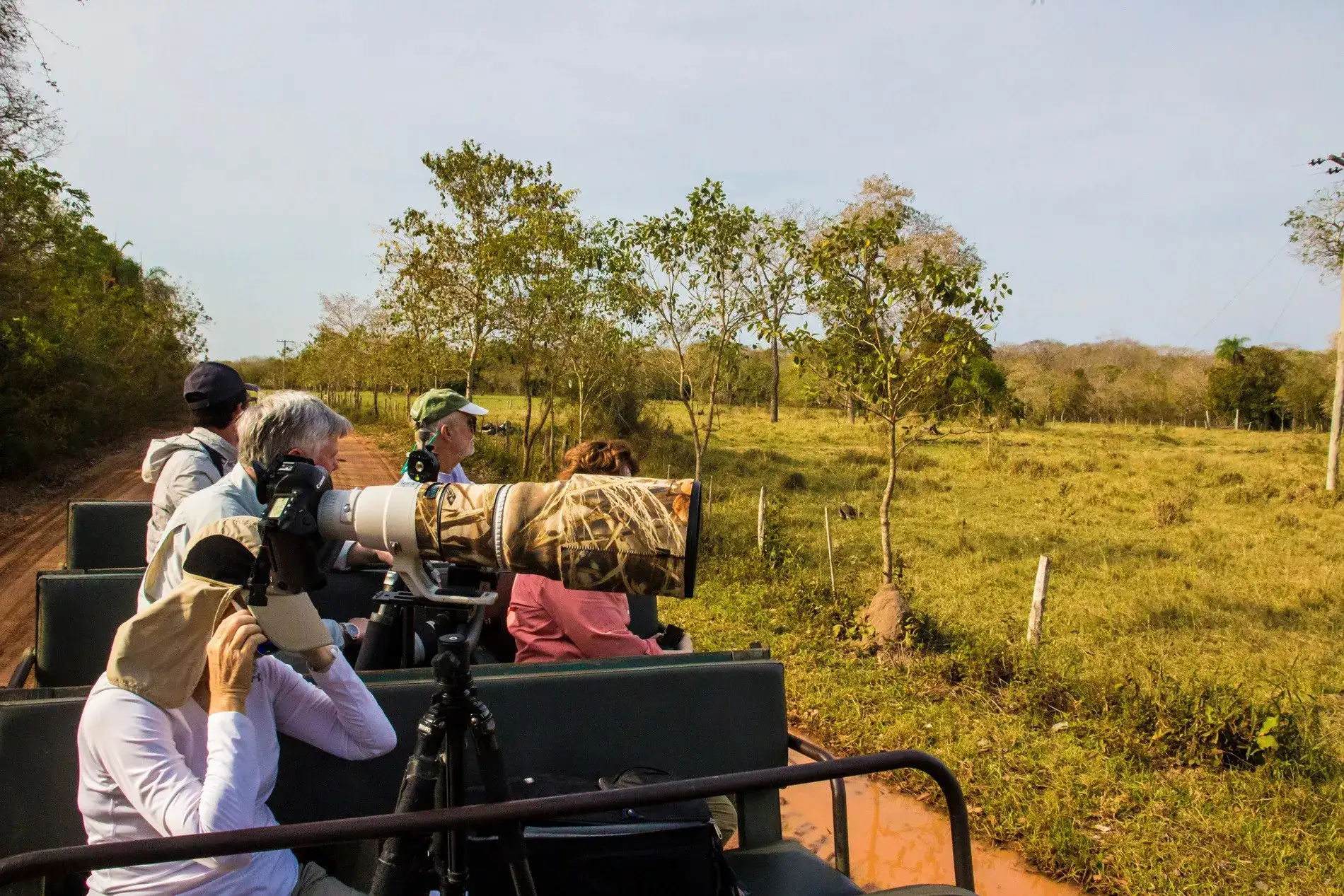 Pantanal em Família