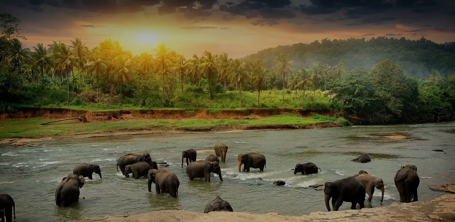 Pacote de viagem Sri Lanka Primeiras Impressões