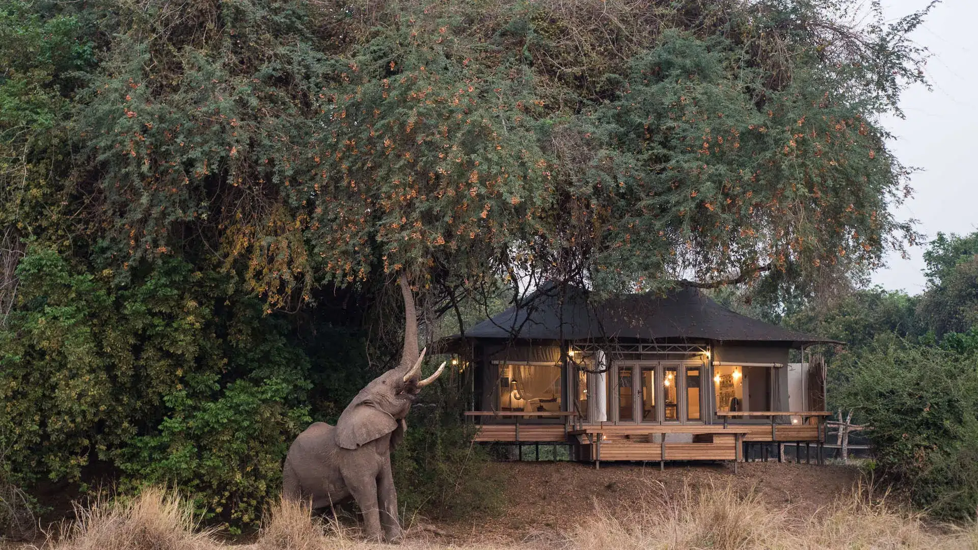 Pacote de viagem Victoria Falls e Safári no Zimbábue