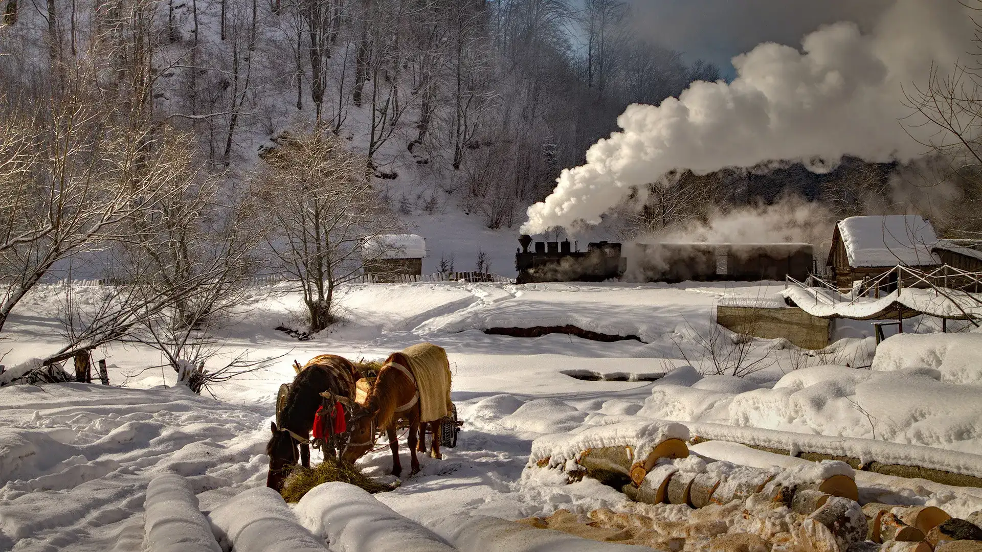 Pacote de viagem Locomotiva a Vapor