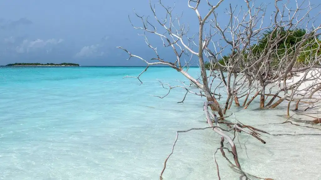 You & Me by Cocoon Maldives