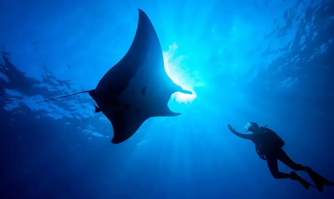 Dusit Thani Maldives