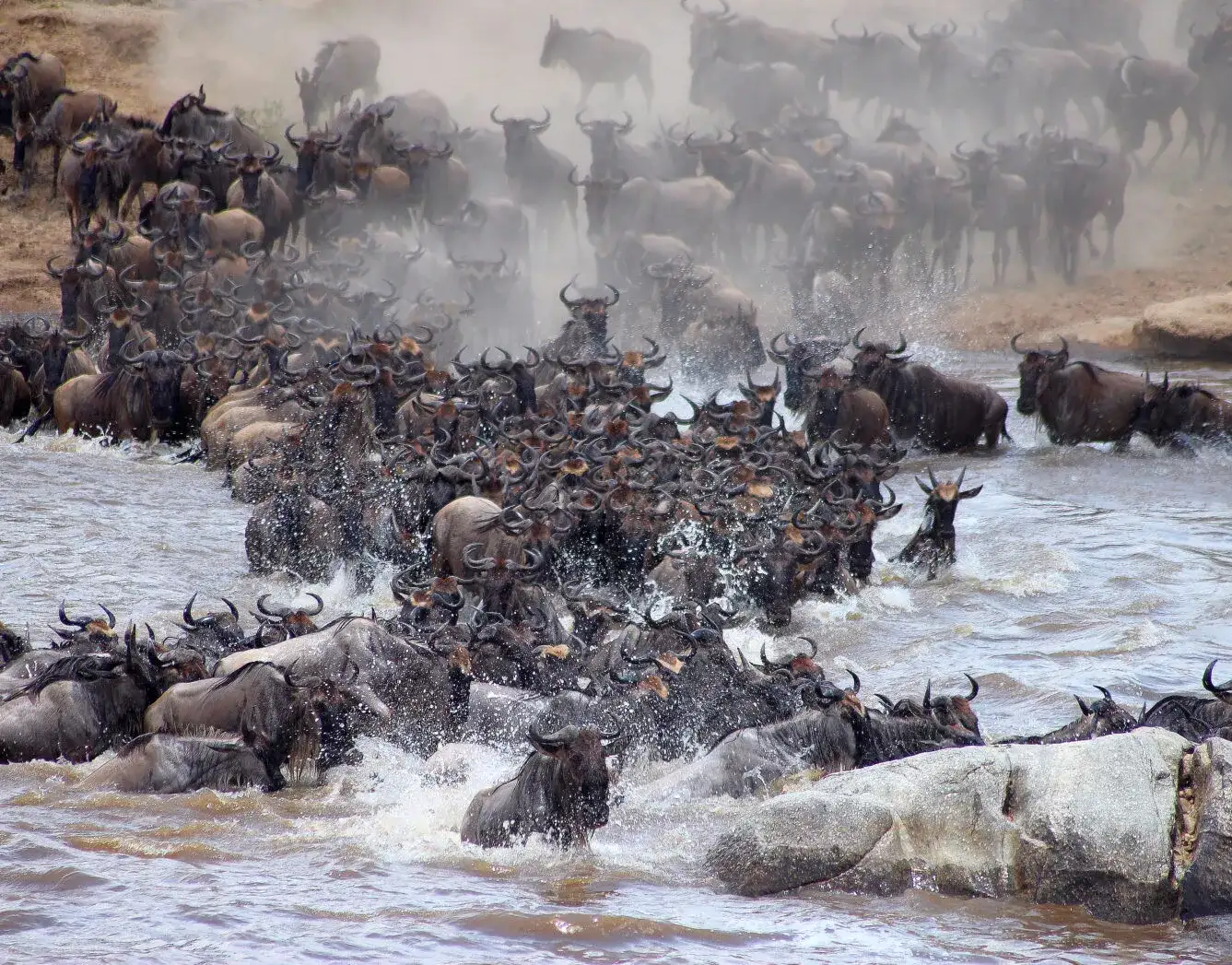 Pacote de viagem Serengeti Bushtops