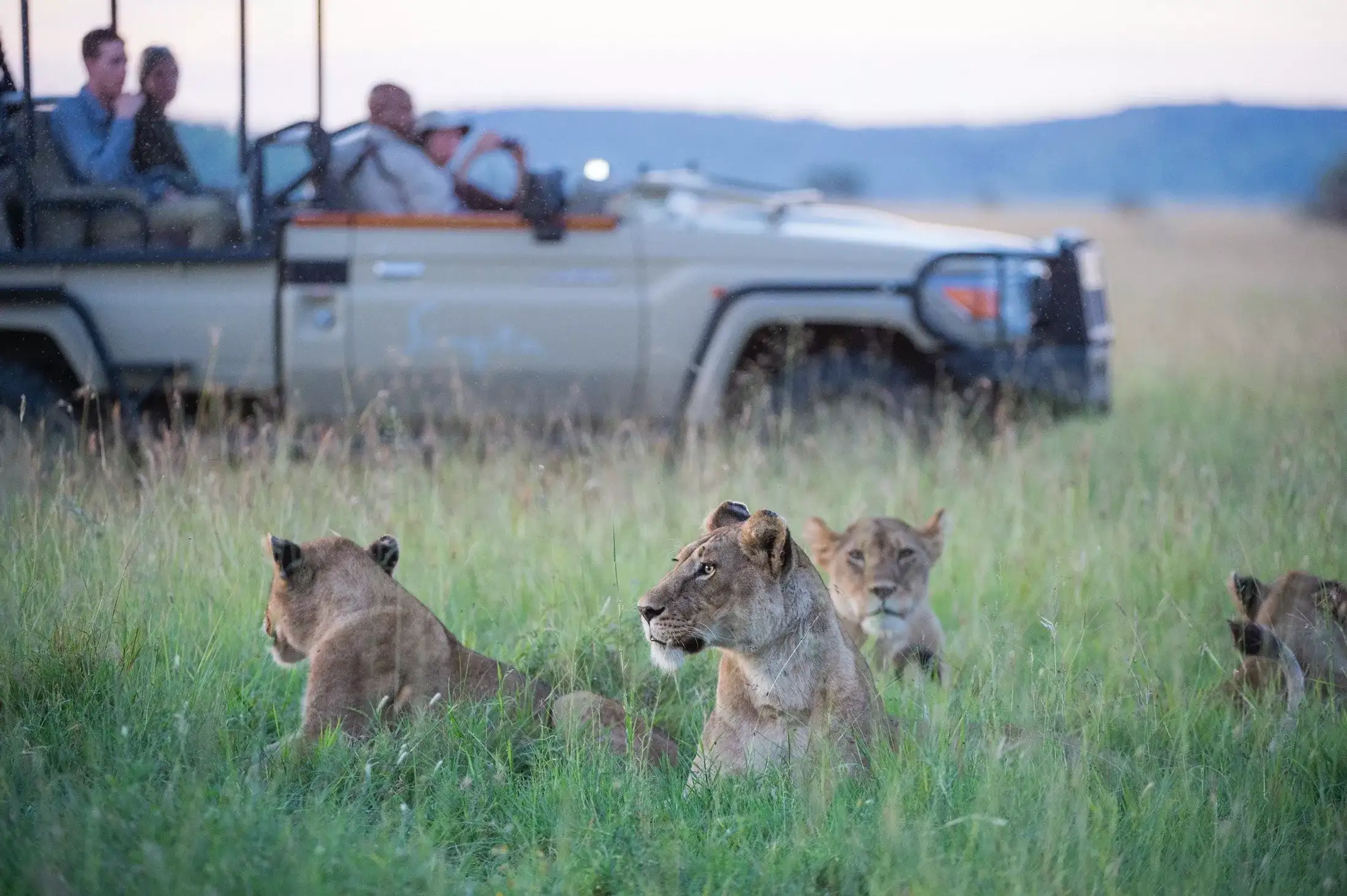 Arusha, Singita & Zuri Zanzibar