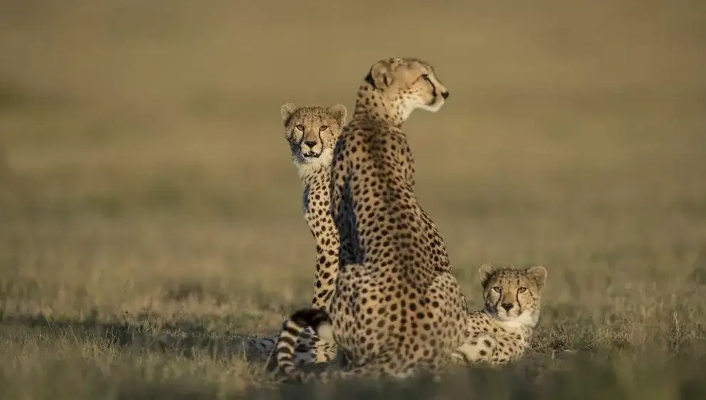 Arusha, Singita & Zuri Zanzibar