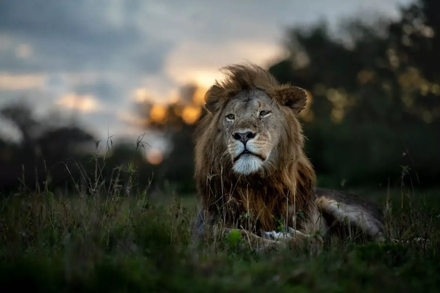 Arusha, Singita & Zuri Zanzibar