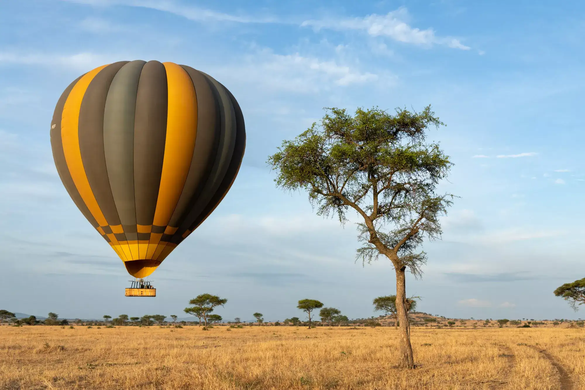Arusha, Singita & Zuri Zanzibar