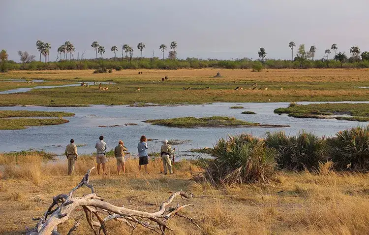 Viagem dos Sonhos África Austral