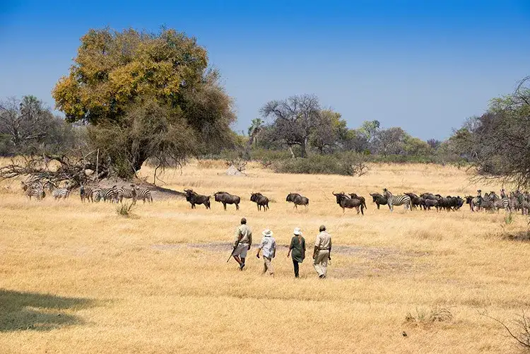 Pacote de viagem O melhor da África Austral Luxury