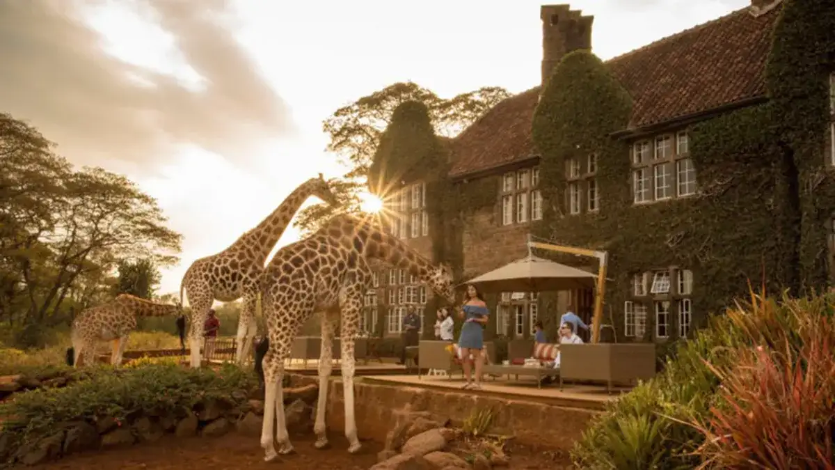 Safari África Oriental andBeyond