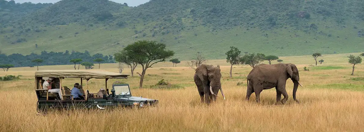 Safari África Oriental andBeyond
