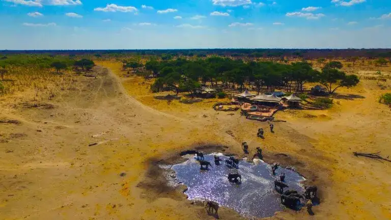 Pacote de viagem Victoria Falls e Wildlife Safari