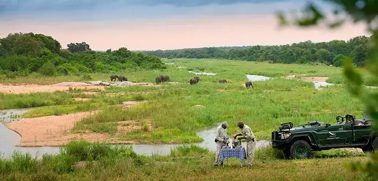 Pacote de viagem Safari na África do Sul Sabi Sand e Cape Town – Luxury