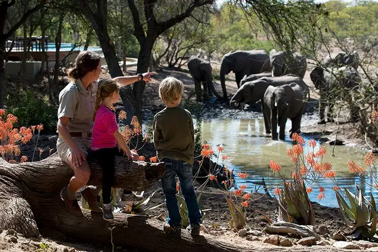 Pacote de viagem Safari Wild Child Adventure - Luxury