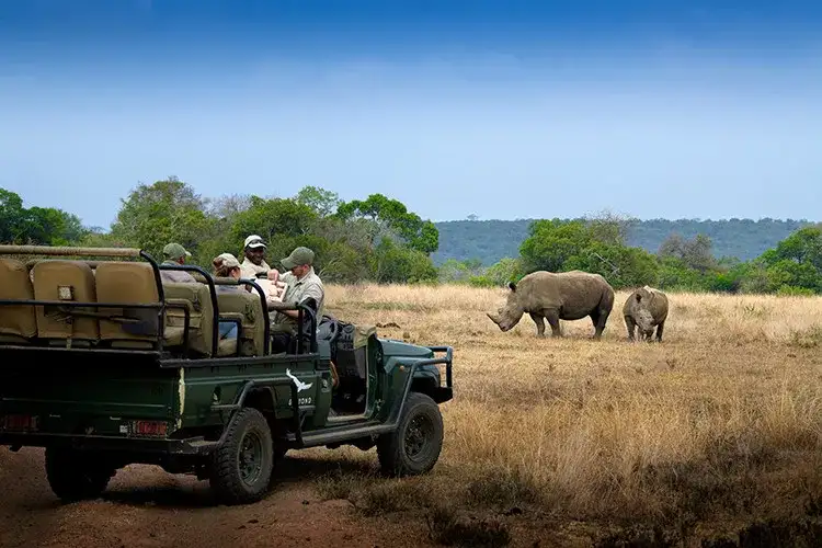 Pacote de viagem Grande Safari Deluxe na África do Sul