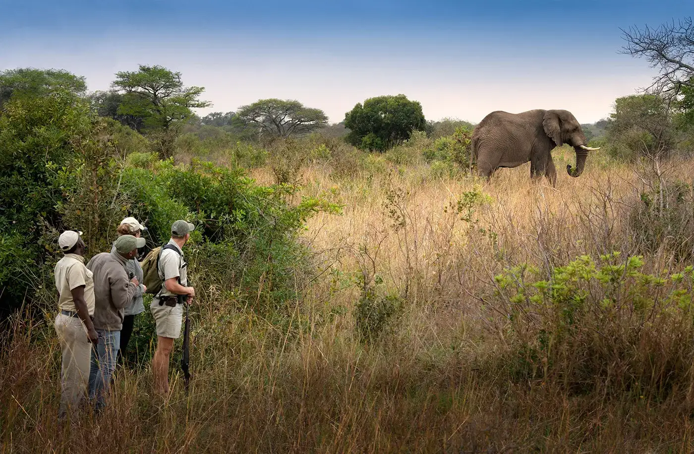 Pacote de viagem Sabi Sand e Phinda